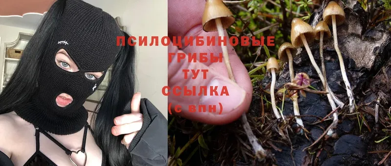 Галлюциногенные грибы MAGIC MUSHROOMS  Лабинск 